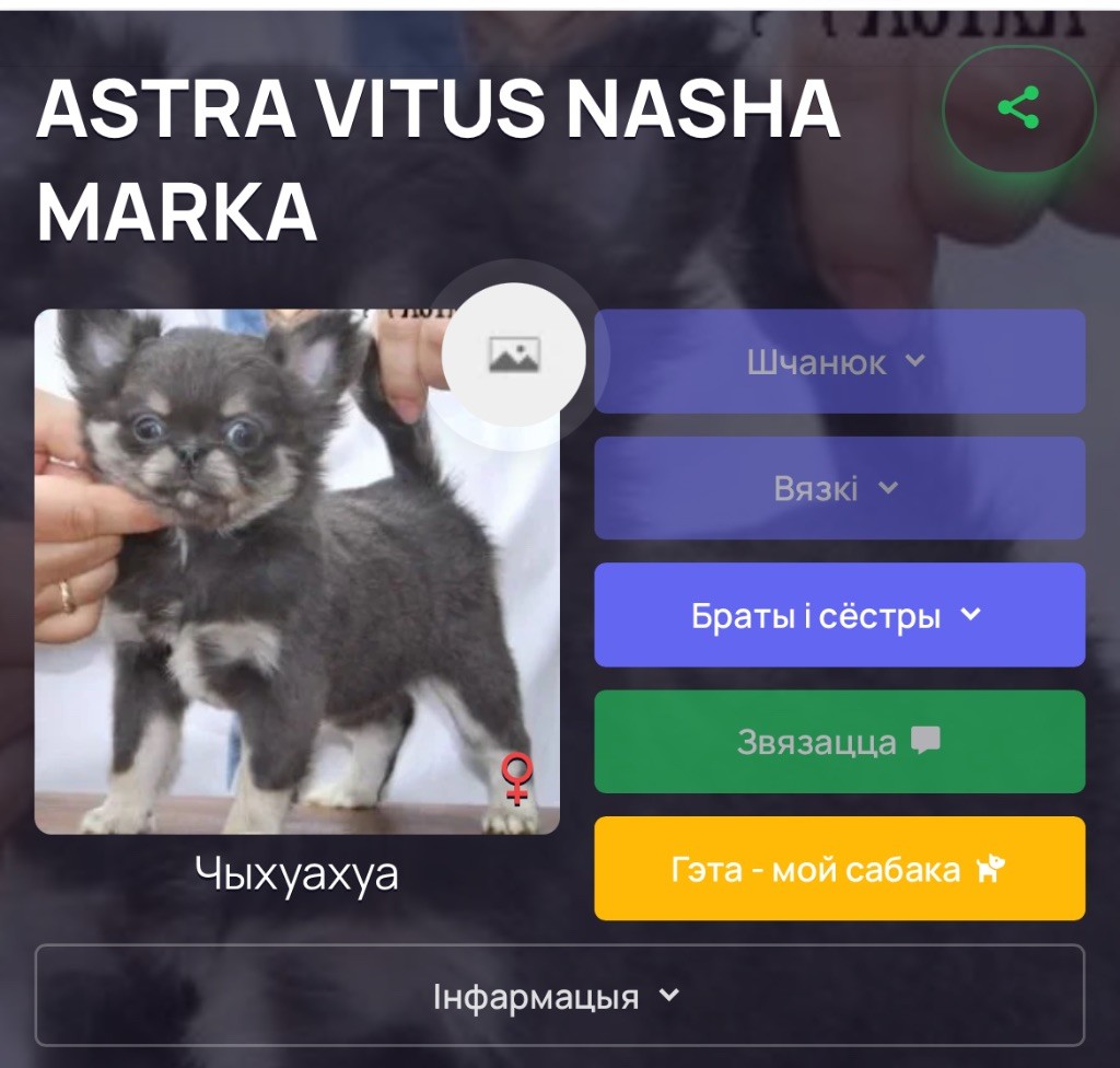 Astra vitus Nasha marka